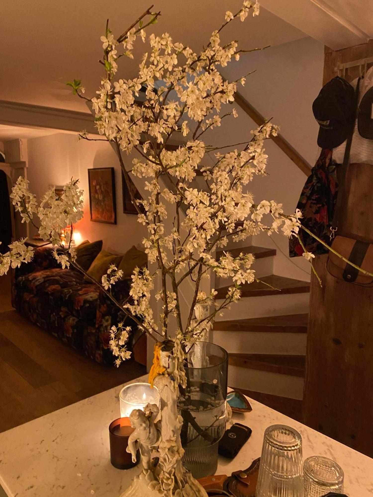 Stylish & Cosy Boutique Townhouse 1 Bedroom, 1 Sofa Bed - Sleeps 4 Christchurch  Exteriér fotografie
